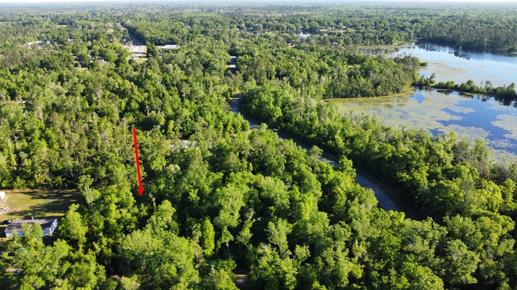 Lot 33 Bodie Lister Road Wewahitchka, FL 32465 - Photo 4 of 7