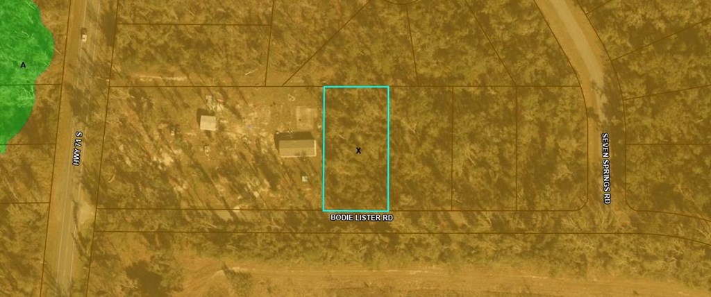 Lot 33 Bodie Lister Road Wewahitchka, FL 32465 - Photo 5 of 7