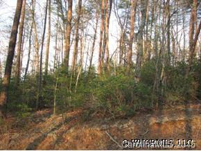22 Racoon Ridge Lake Lure, NC 28746 - Photo 2 of 12 a view of forest