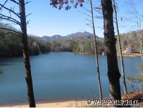 22 Racoon Ridge Lake Lure, NC 28746 - Photo 11 of 12 a view of a forest