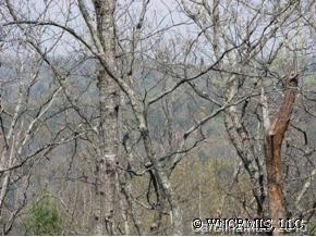 22 Racoon Ridge Lake Lure, NC 28746 - Photo 12 of 12