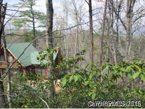 22 Racoon Ridge Lake Lure, NC 28746 - Photo 3 of 12 a view of a garden