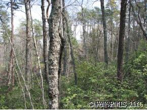 22 Racoon Ridge Lake Lure, NC 28746 - Photo 4 of 12 a view of forest