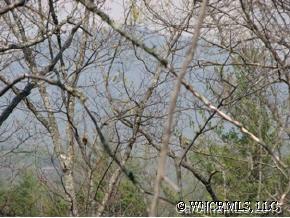 22 Racoon Ridge Lake Lure, NC 28746 - Photo 8 of 12 a picture of tree