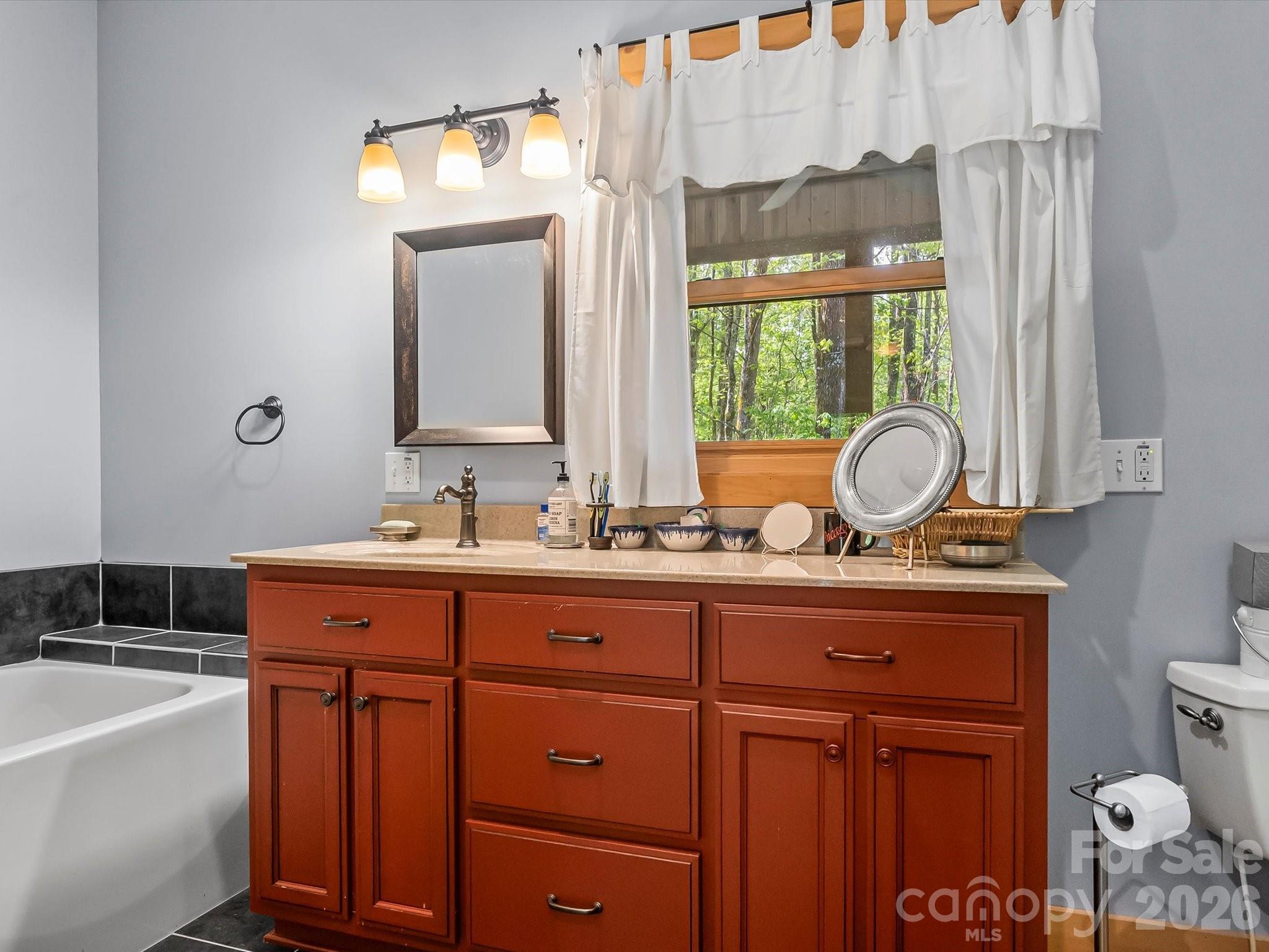 917 Otter Mountain Road Topton, NC 28781 - Photo 26 of 48 a bathroom with a sink and a mirror