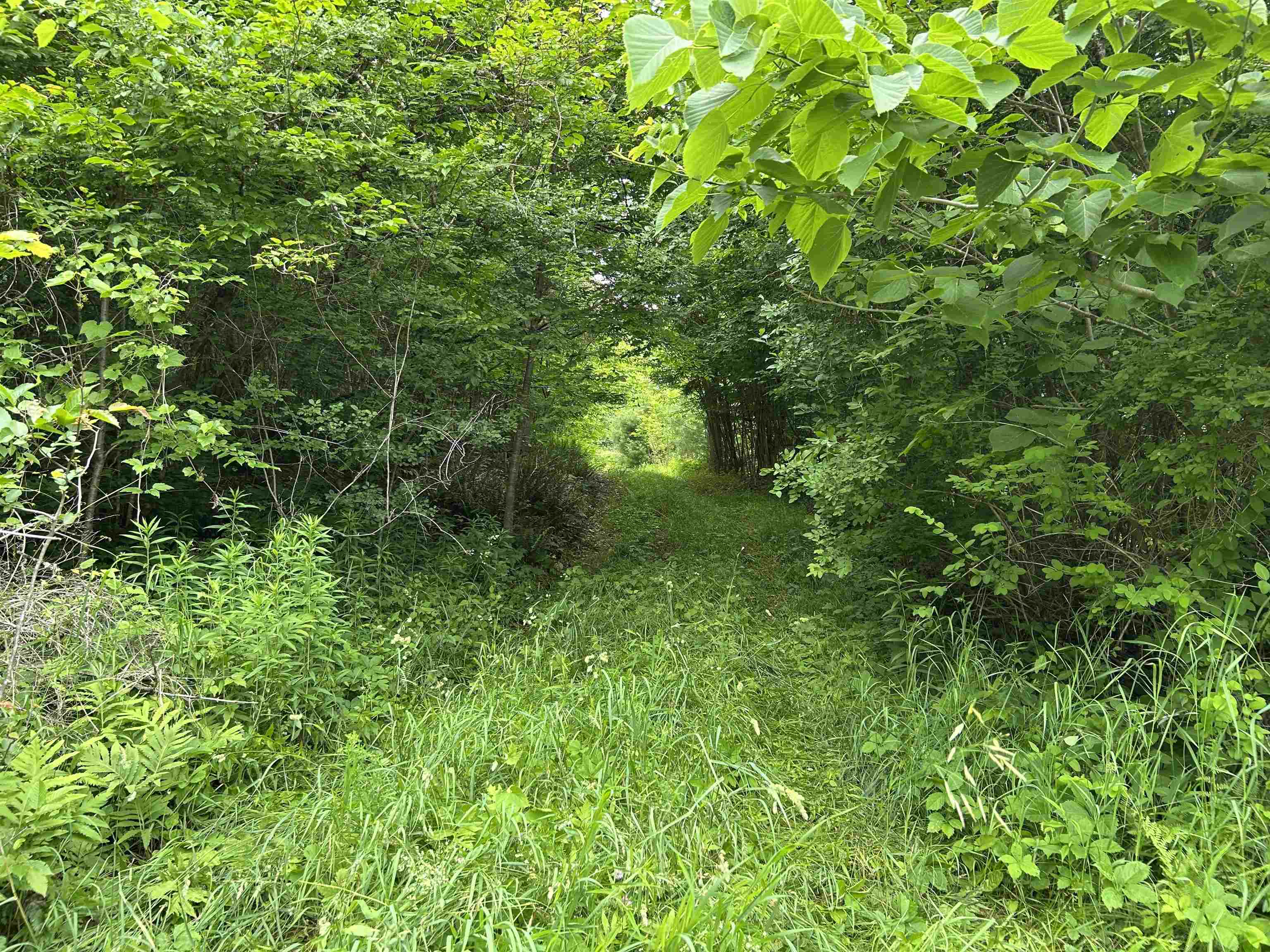 4 Cutler Road Plainfield, NH 03781 - Photo 7 of 28