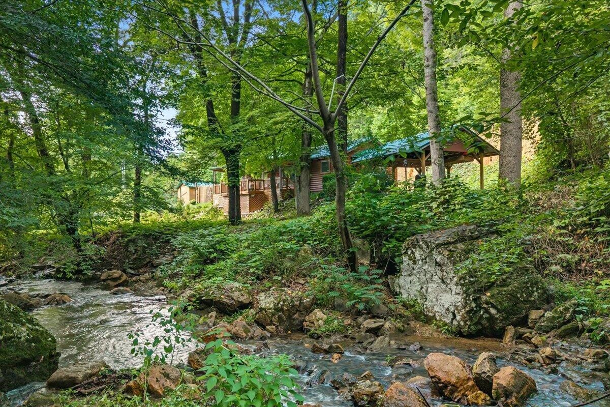 229 Smokey Run Road Tellico Plains, TN 37385 - Photo 8 of 36 Gallery Image 8
