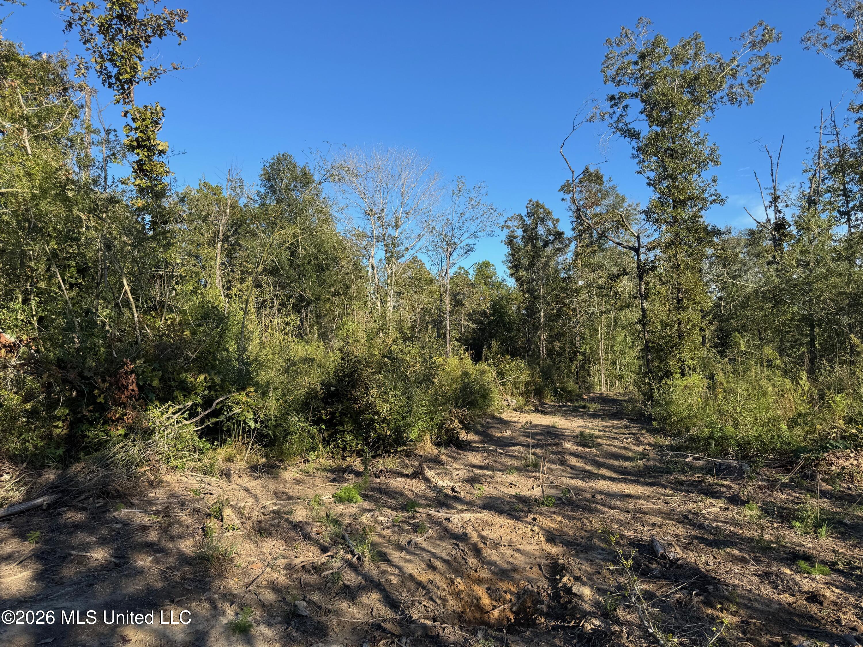 Xxx Emma Kelly Road Magnolia, MS 39652 - Photo 24 of 33 Emma Kelly 19