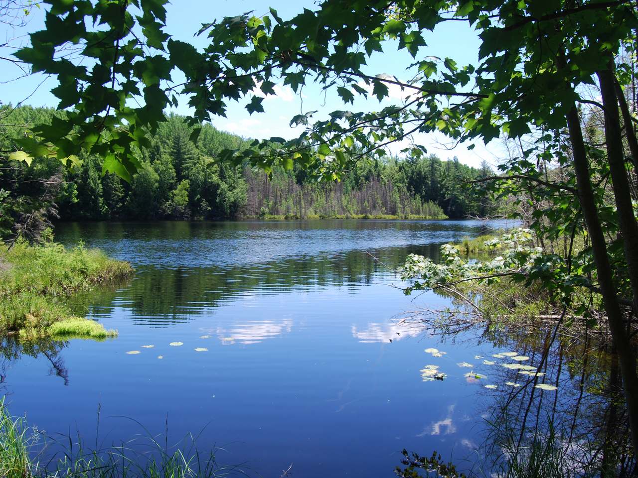 Lot 2 Timber Lodge Road Rhinelander, WI 54501 - Photo 2 of 6 Gallery Image 2