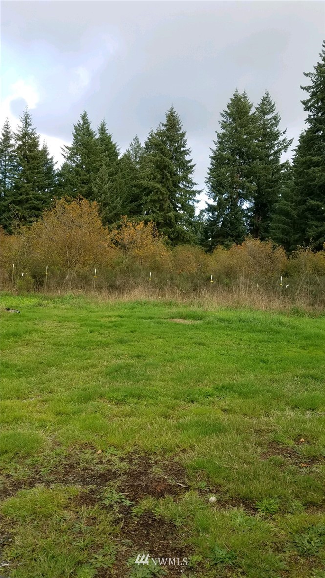 17106 Camas Run Lane Southwest Rochester, WA 98579 - Photo 22 of 23