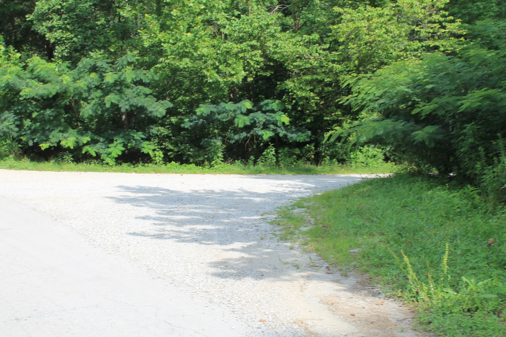 3 Straight Fork Road Huntsville, TN 37756 - Photo 9 of 9