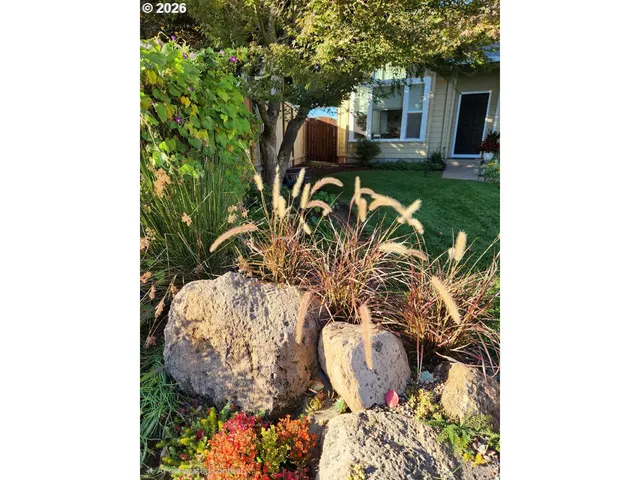 a view of a bird bath room