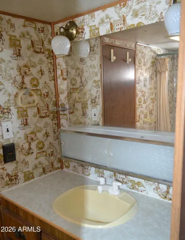 a bathroom with a sink and a mirror