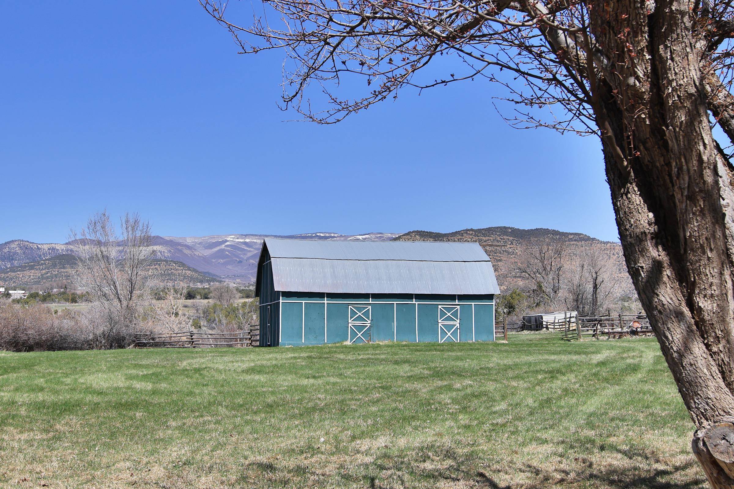 58590 Pe 3/10 Road Collbran, CO 81624 - Photo 29 of 41