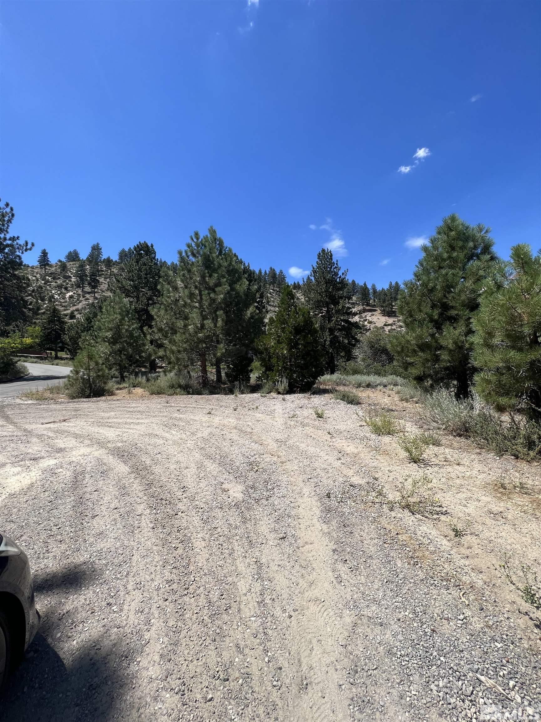 4310 County Line Road Carson City, NV 89703 - Photo 11 of 17 Photo 11