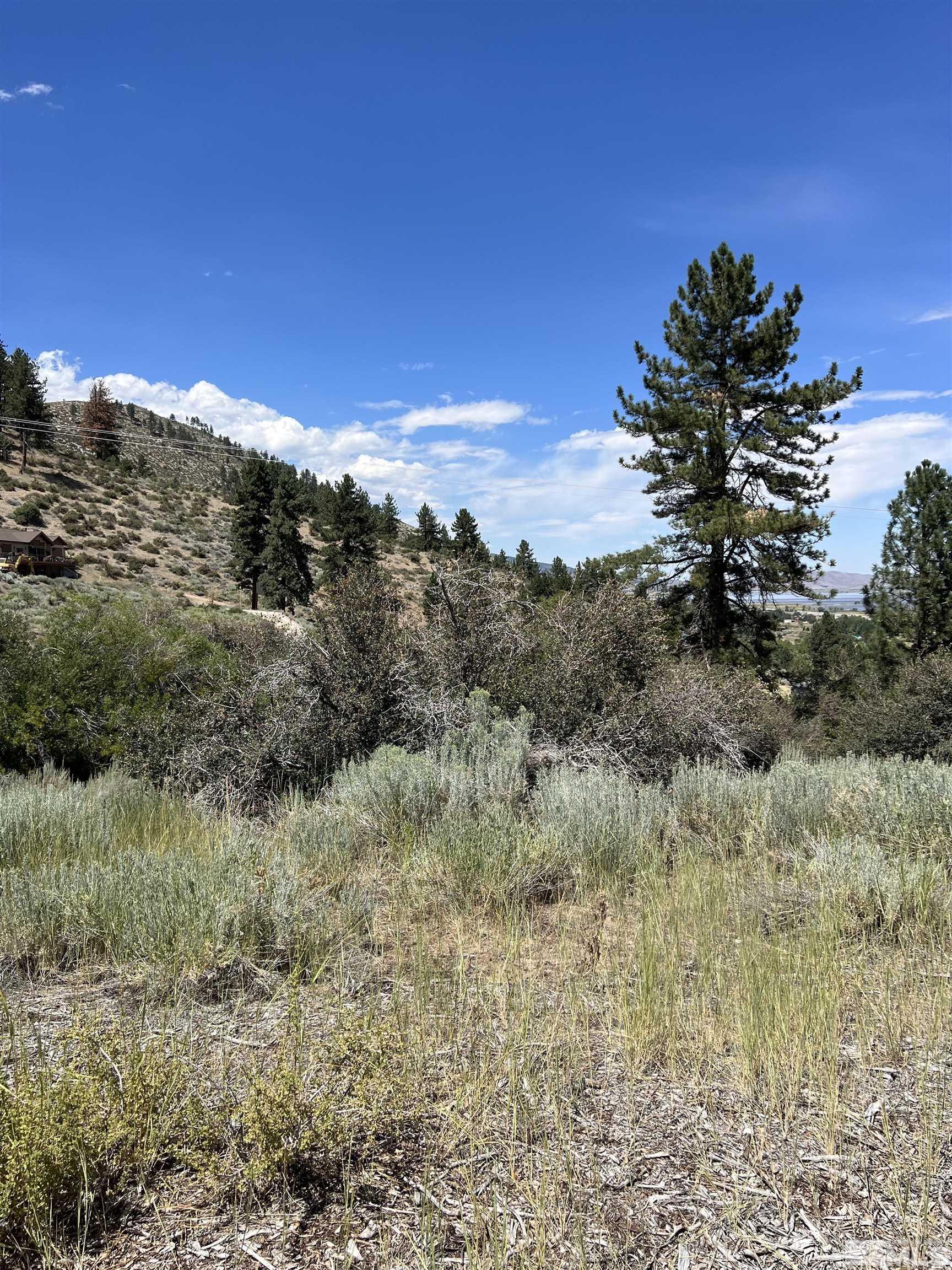 4310 County Line Road Carson City, NV 89703 - Photo 15 of 17 Photo 16