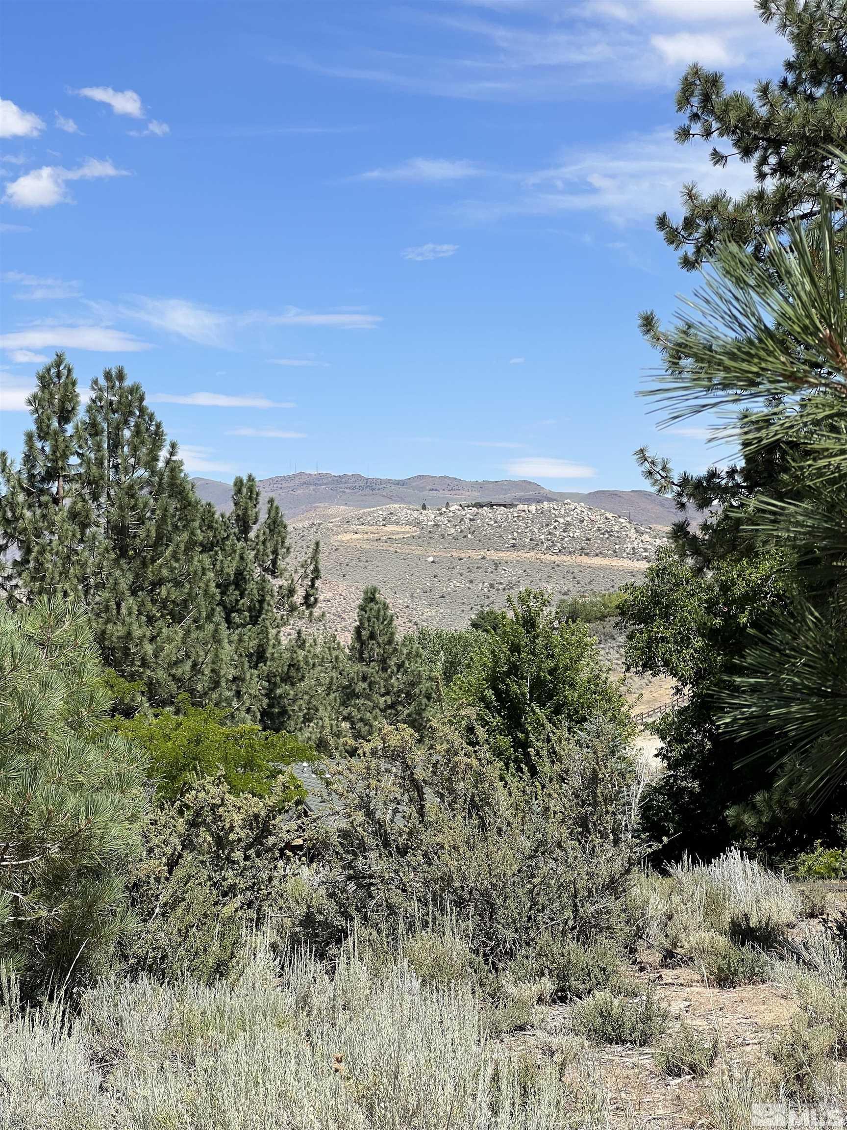 4310 County Line Road Carson City, NV 89703 - Photo 17 of 17 Photo 18
