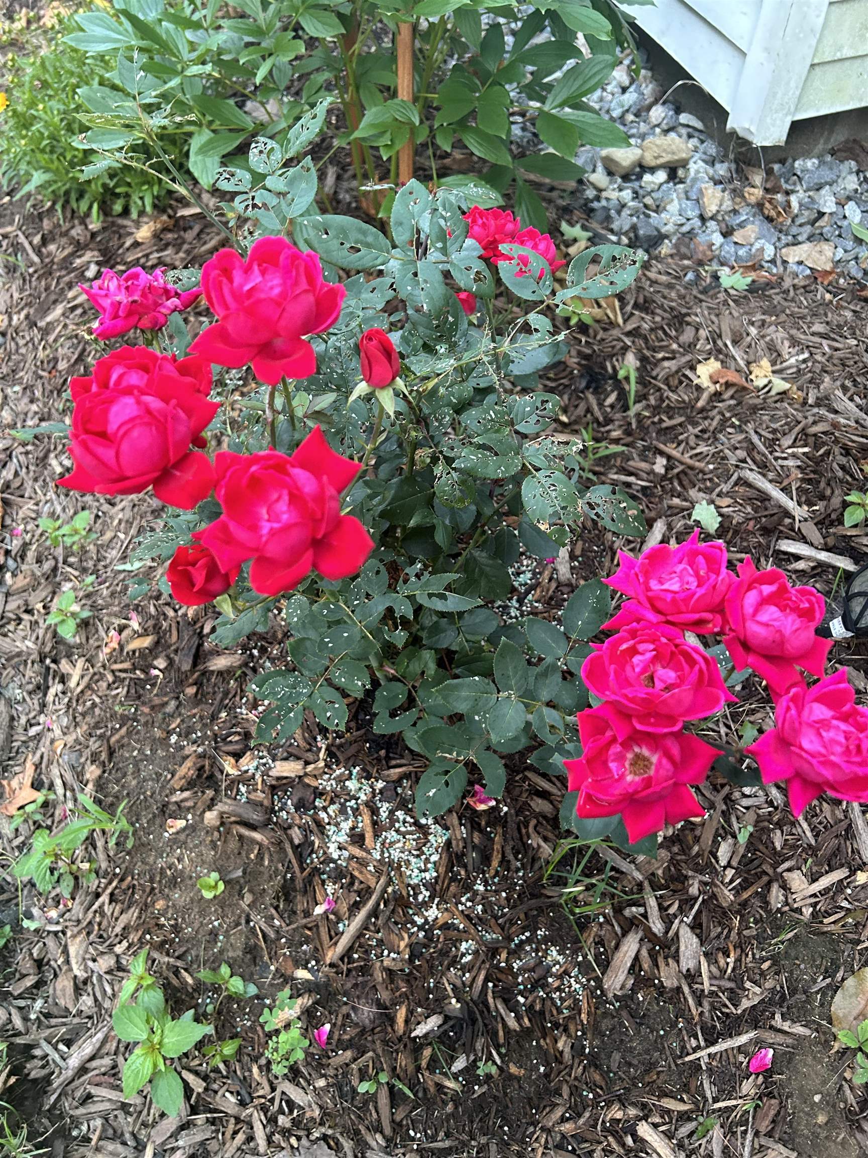 336 New Hampton Road Franklin, NH 03235 - Photo 20 of 36