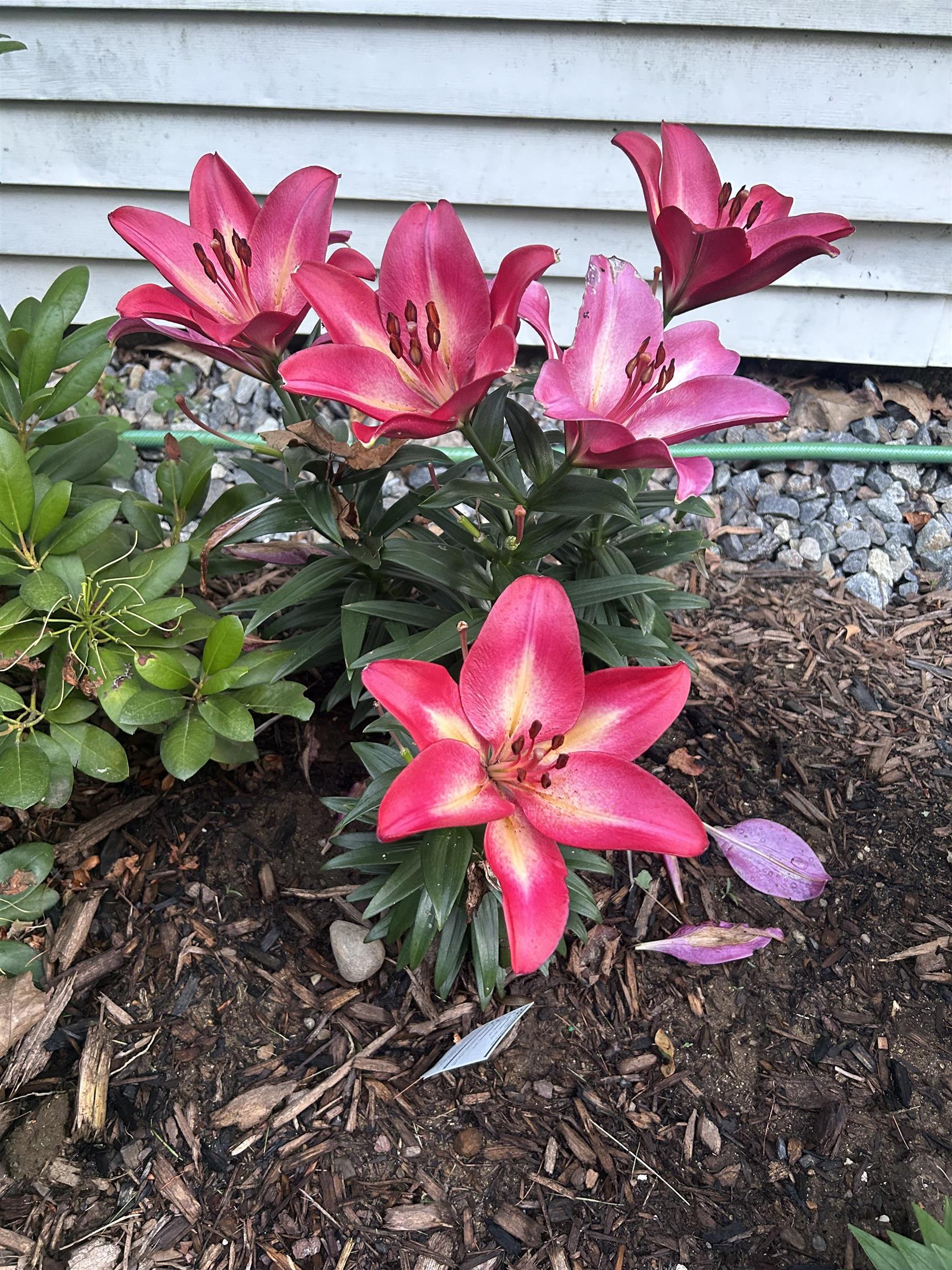 336 New Hampton Road Franklin, NH 03235 - Photo 21 of 36