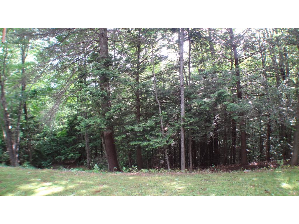 76 Oak Ridge Road Weare, NH 03281 - Photo 8 of 35