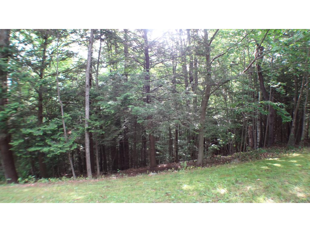 76 Oak Ridge Road Weare, NH 03281 - Photo 10 of 35