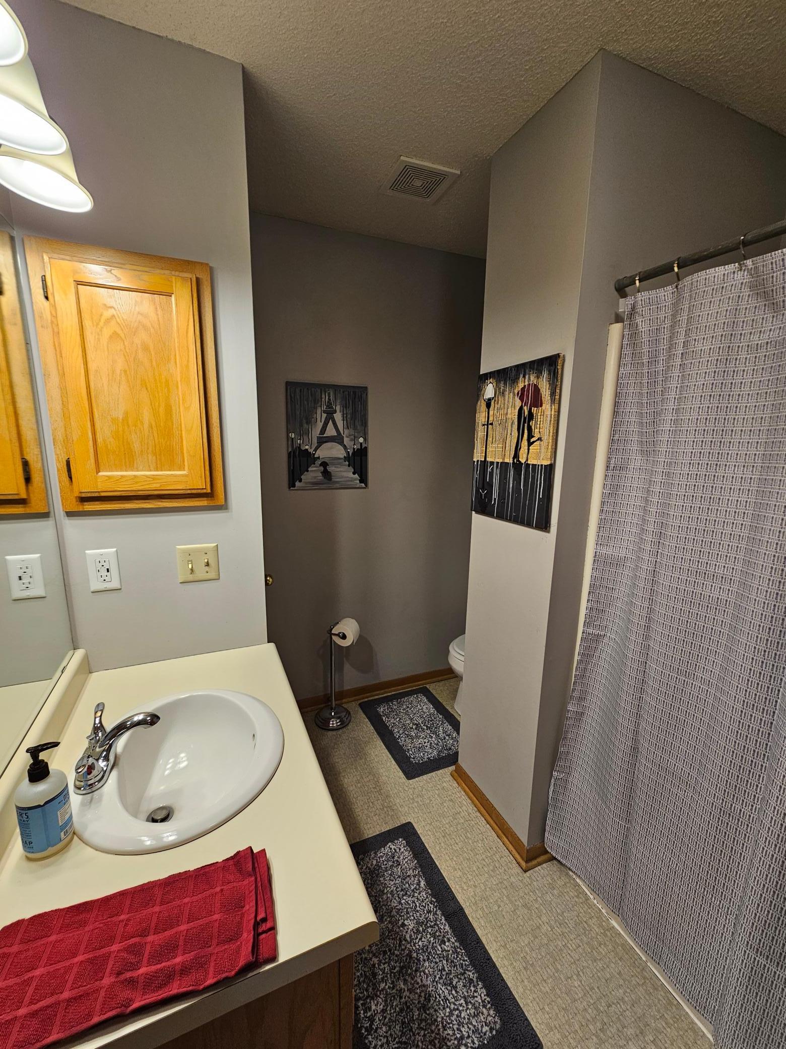 2433 60th Street Northwest Rochester, MN 55901 - Photo 12 of 21