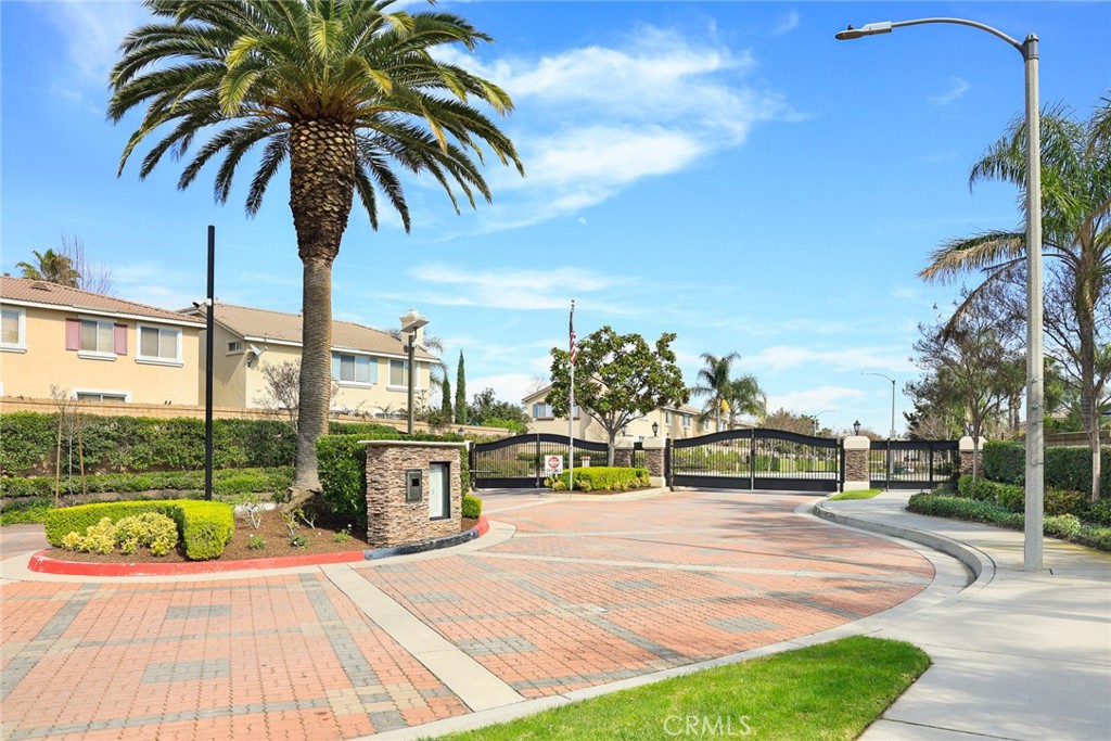 7343 Legacy Place Rancho Cucamonga, CA 91730 - Photo 44 of 53 a view of a swimming pool with a lawn chairs under palm trees
