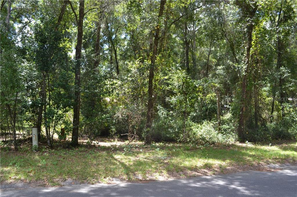 6460 East Gentry Street Inverness, FL 34452 - Photo 1 of 1 Gallery Image 1