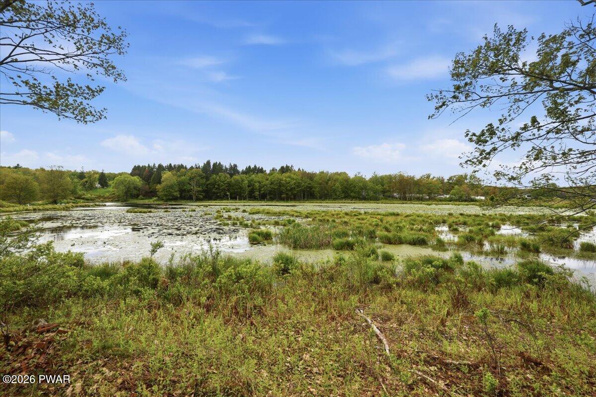 103 Forever Green Road Lakeville, PA 18438 - Photo 37 of 179