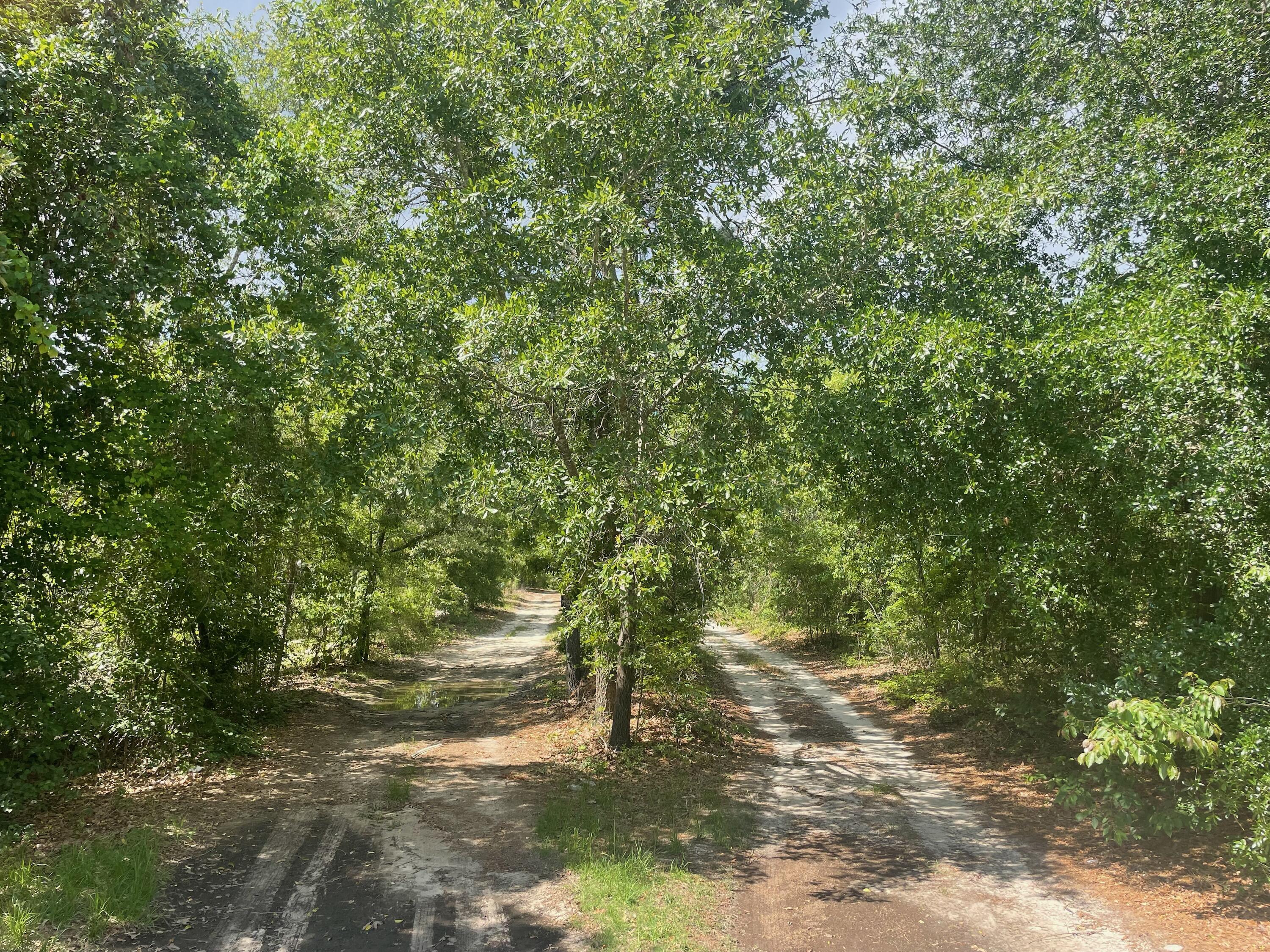 2435 Patiller Road Hephzibah, GA 30815 - Photo 1 of 1 1