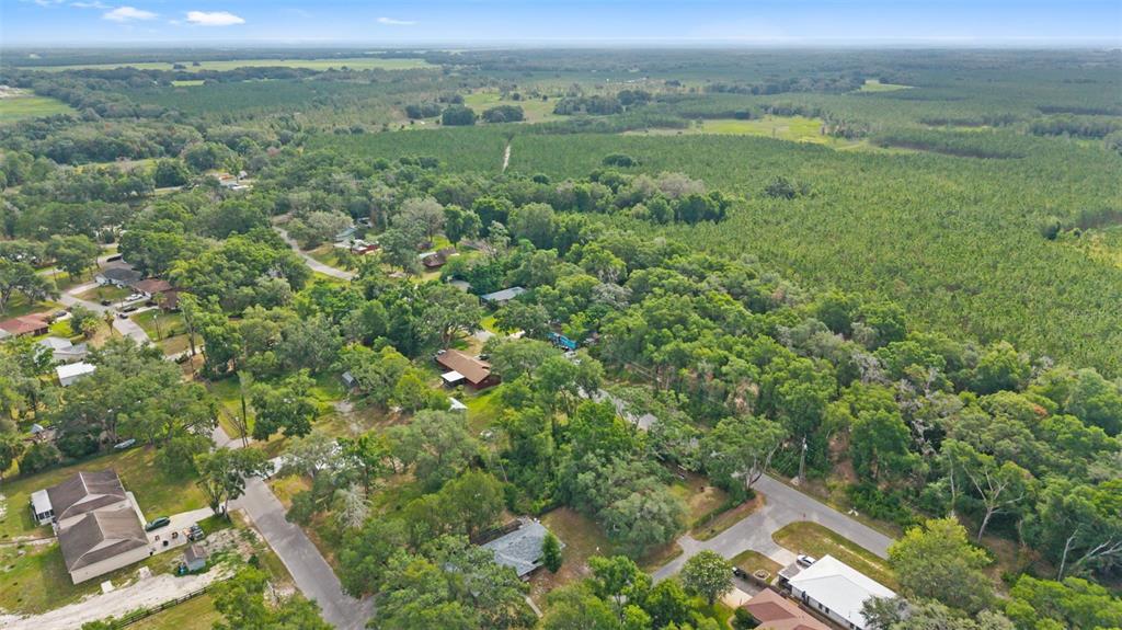 15177 Spokane Road Spring Hill, FL 34610 - Photo 5 of 17