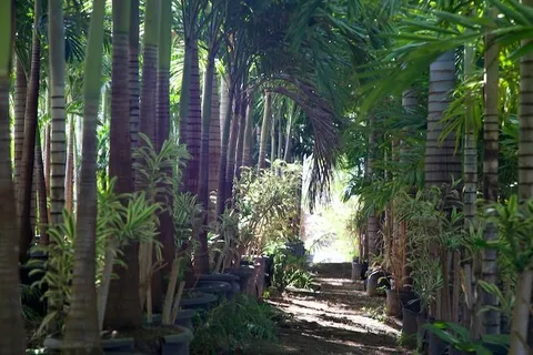 $2,395,000 | 150 Kai Hele Ku Street, Unit B, Lahaina, HI 96761