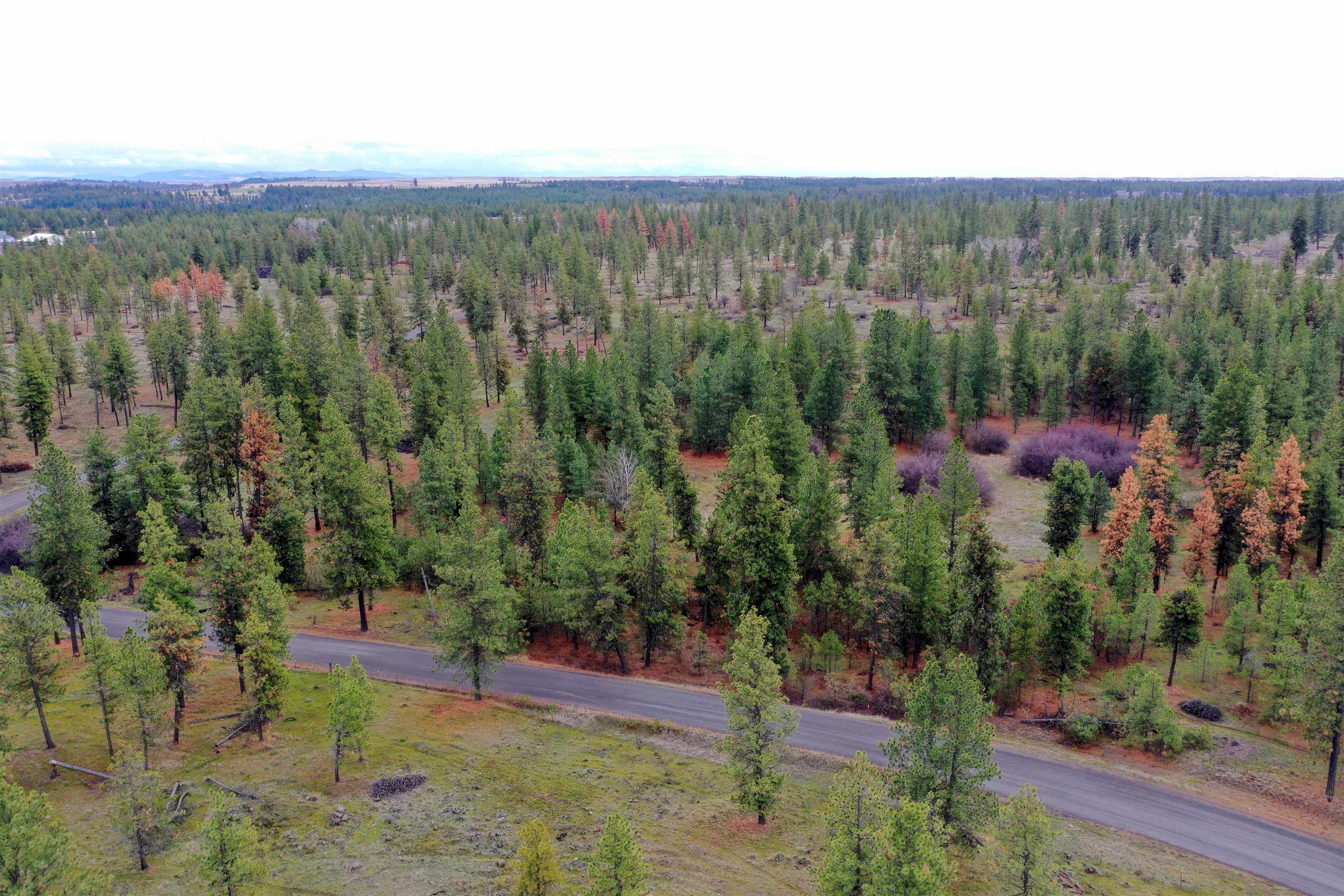 155-xx South Stentz Road, Unit LOT #8 Spangle, WA 99031 - Photo 11 of 16