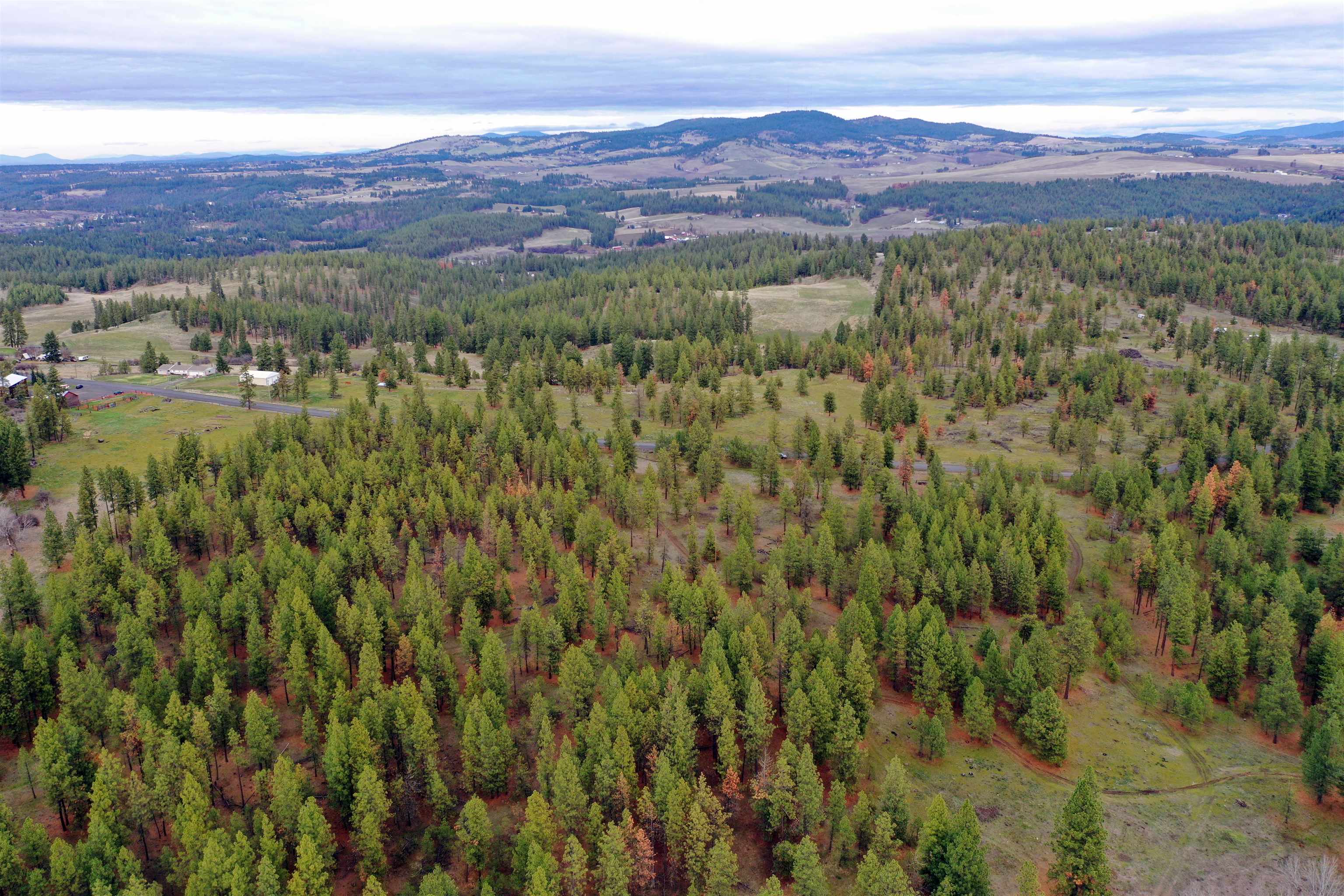 155-xx South Stentz Road, Unit LOT #8 Spangle, WA 99031 - Photo 3 of 16