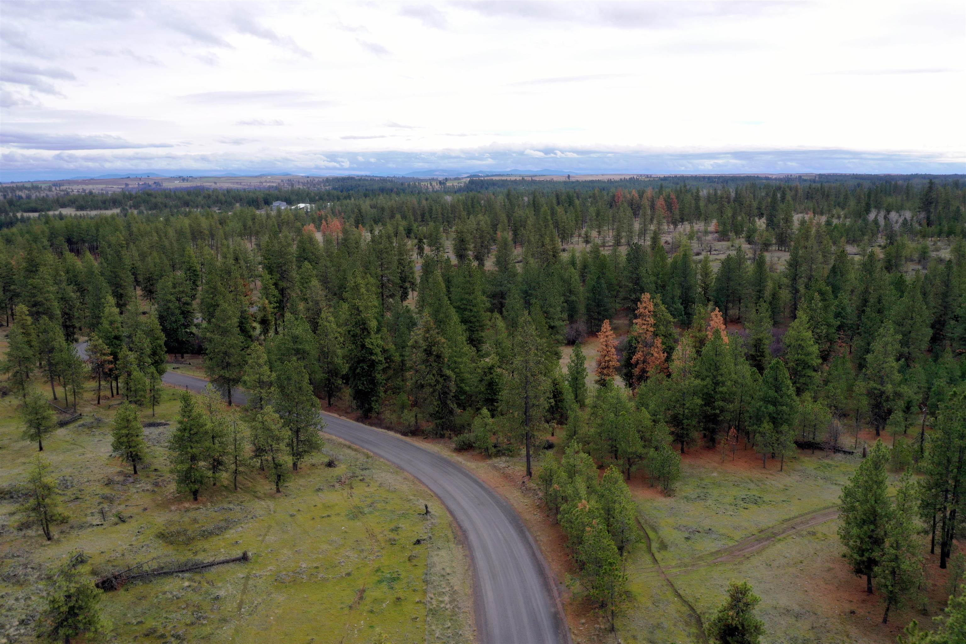 155-xx South Stentz Road, Unit LOT #8 Spangle, WA 99031 - Photo 6 of 16