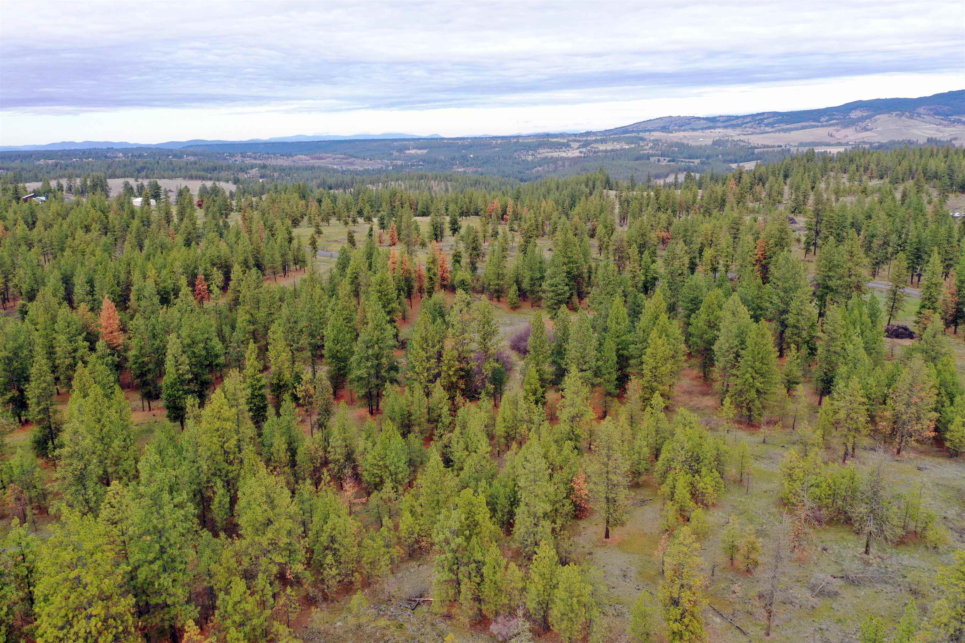 155-xx South Stentz Road, Unit LOT #8 Spangle, WA 99031 - Photo 10 of 16