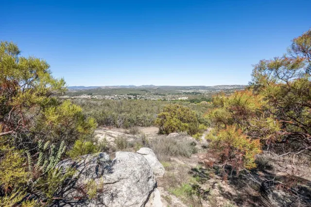 a car parked on a beach with a big yard