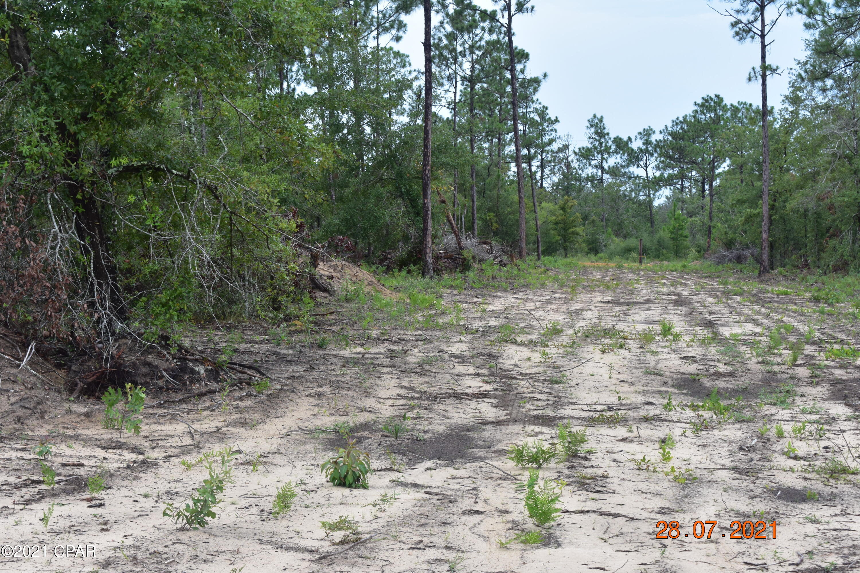3417 Diddly Road Chipley, FL 32428 - Photo 18 of 19 Gallery Image 18
