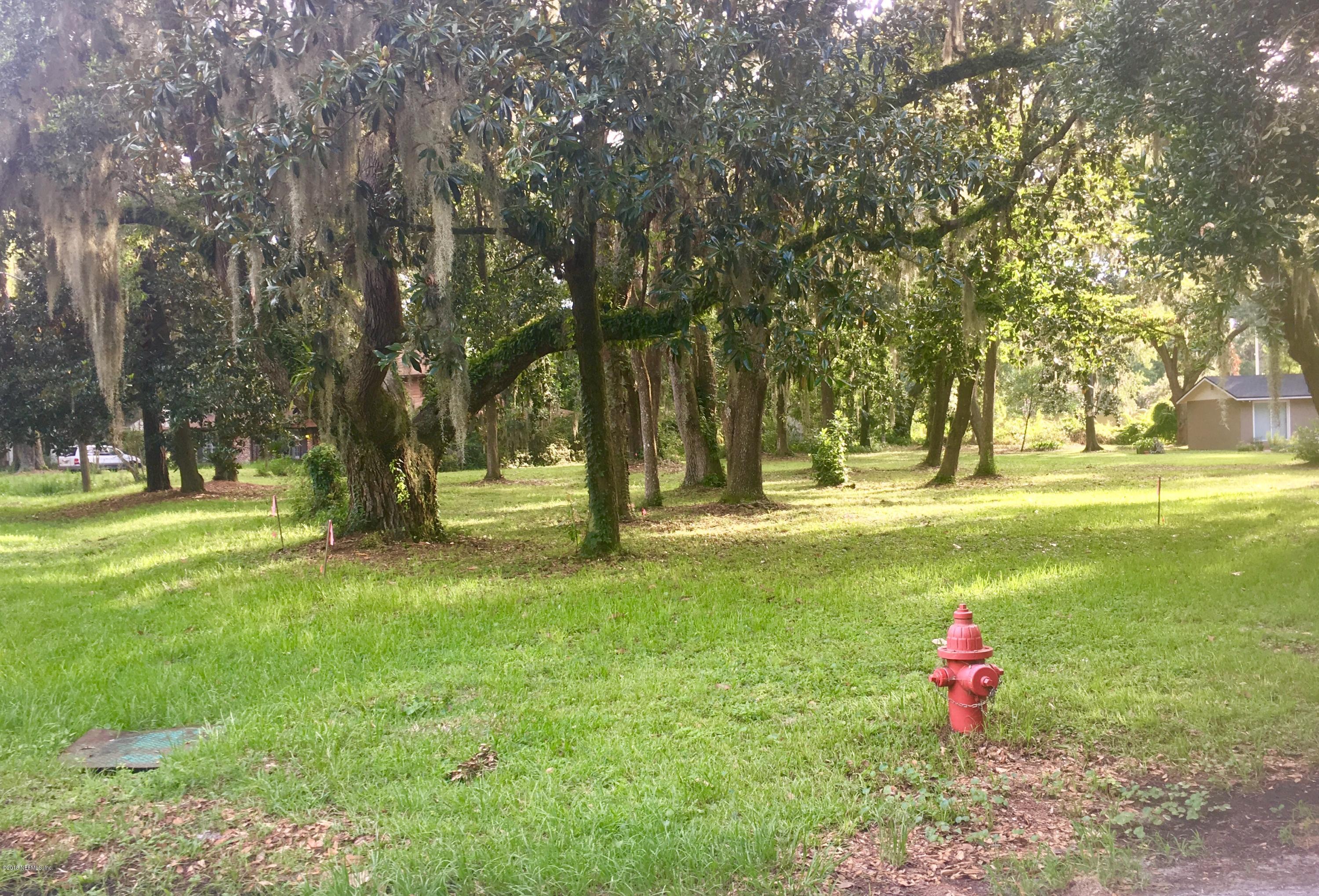 0 Holly Point Road East Orange Park, FL 32073 - Photo 1 of 3 a garden view