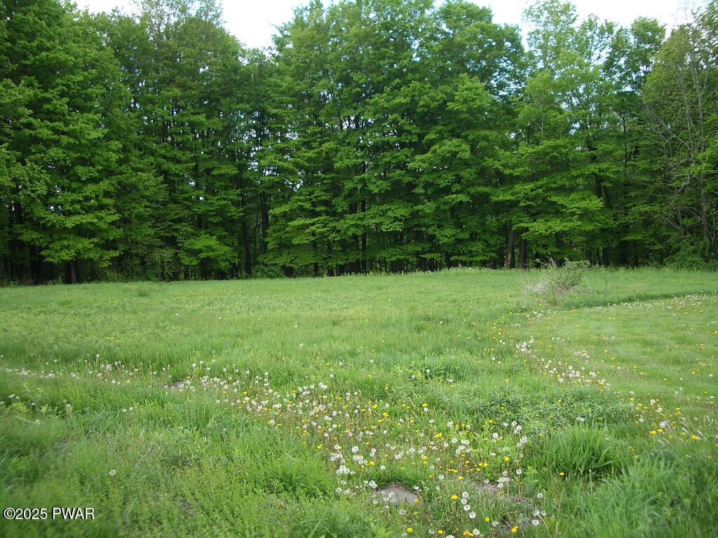 4 Avoy Heights Road Lake Ariel, PA 18436 - Photo 2 of 9