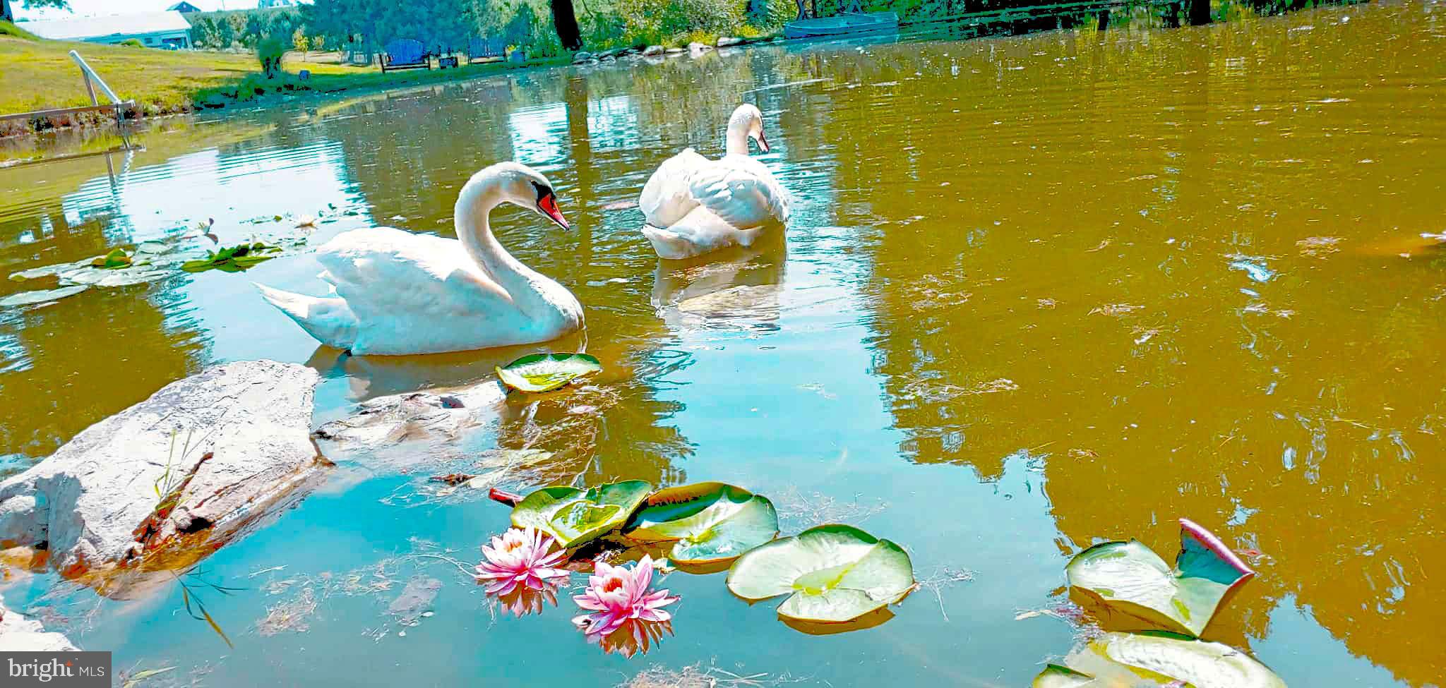 502 Celebration Hill Road Biglerville, PA 17307 - Photo 33 of 67 an aerial view of a house with a yard swimming pool and outdoor seating