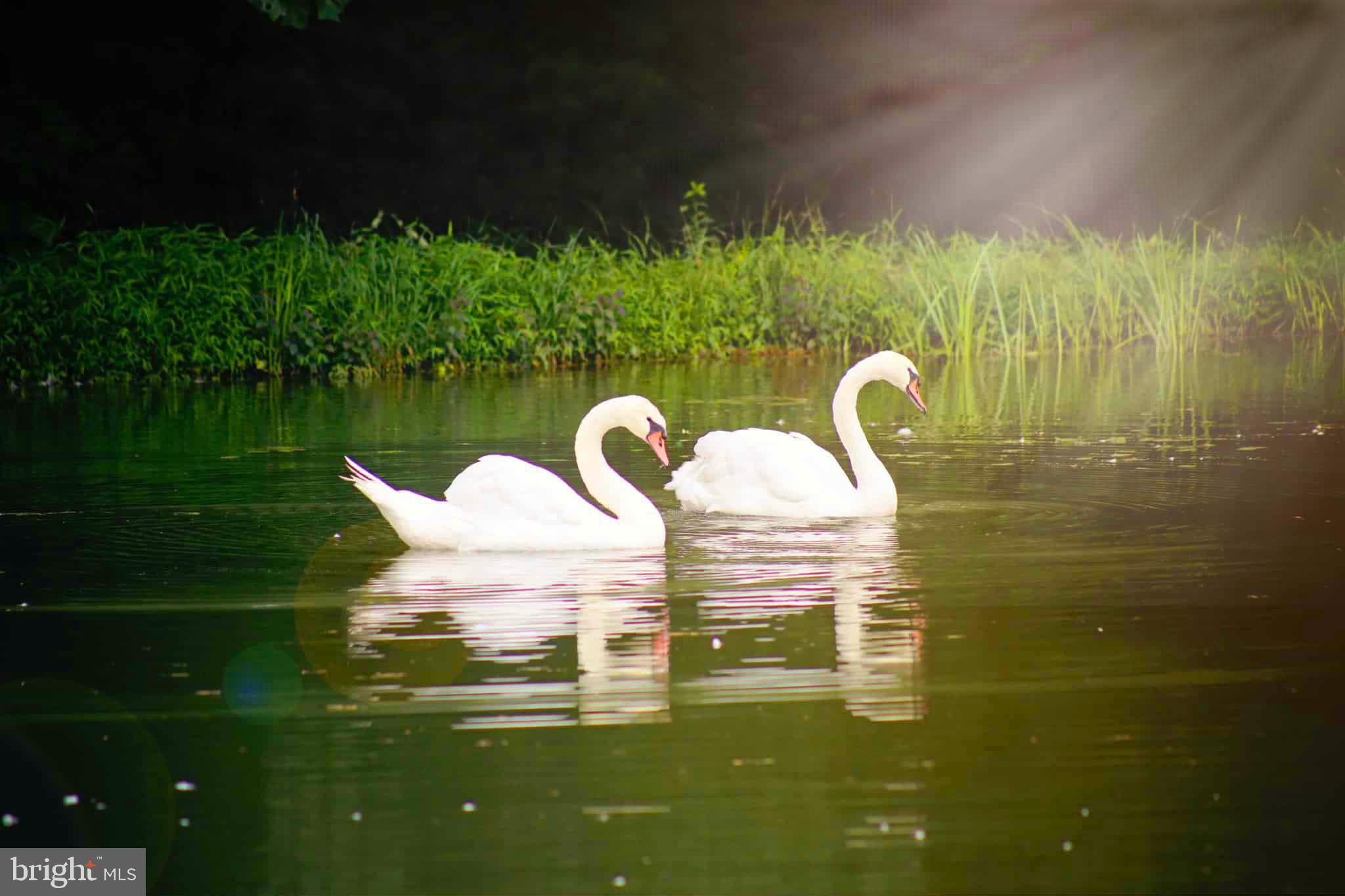 502 Celebration Hill Road Biglerville, PA 17307 - Photo 35 of 67