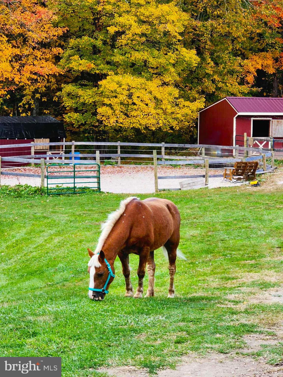 502 Celebration Hill Road Biglerville, PA 17307 - Photo 36 of 67 a view of yard with swimming pool and green space