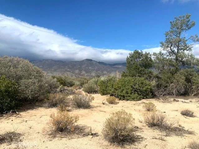 a view of outdoor space yard and mountain view