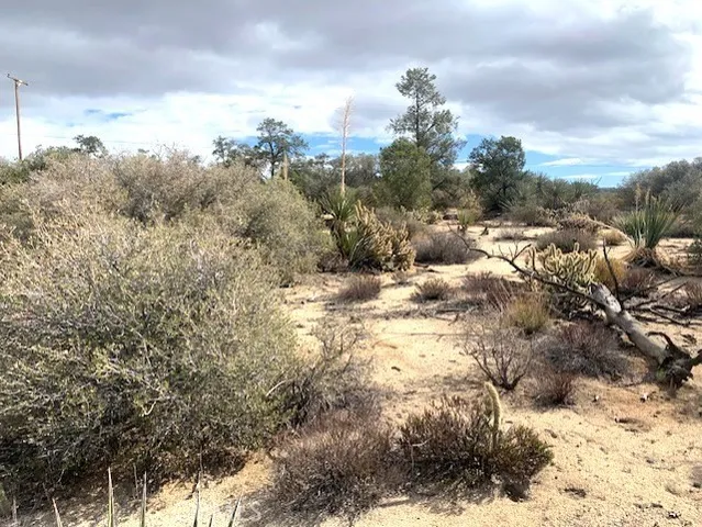 a view of a yard covered in snow