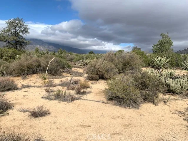 a view of a yard with a snow