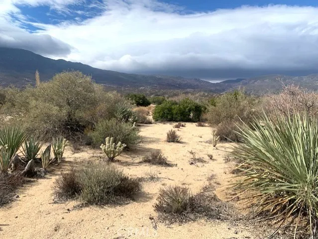 a view of a yard with mountain view