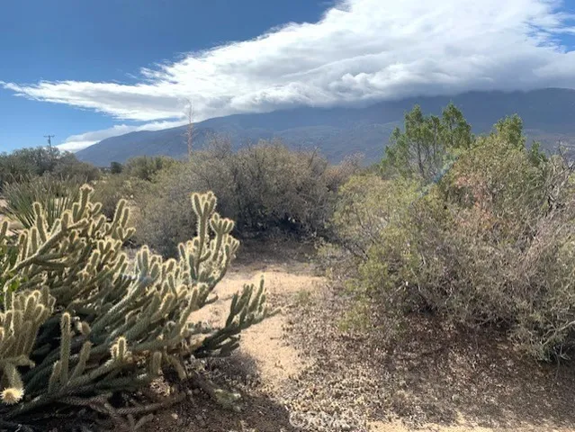 a view of a yard with mountains in the background