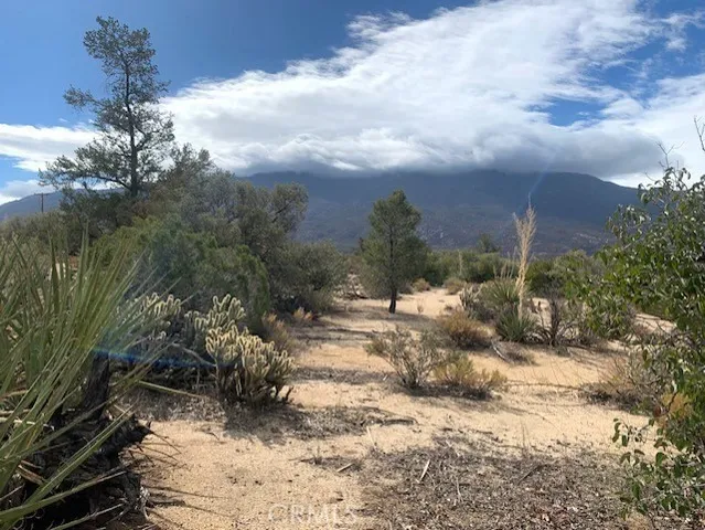 a view of a yard with wooden fence