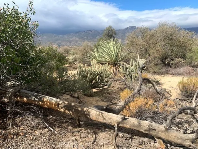 a view of a yard covered in snow